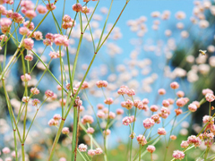 2019微信朋友圈勵(lì)志晚安心語帶圖片 早安晚安勿忘心安