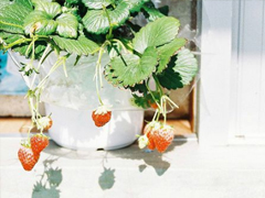 表達(dá)愛(ài)意的唯美句子配圖 肯定能打動(dòng)你心的唯美說(shuō)說(shuō)帶圖片