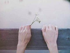 很經(jīng)典的英文說說帶翻譯有配圖 英文心情說說大全