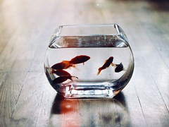 成長之路上遇到的一些經(jīng)典哲理說說配圖 很有道理的精辟說說發(fā)朋友圈