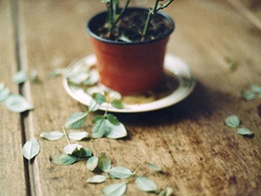 字里行間寫(xiě)盡了詩(shī)意和文藝的唯美說(shuō)說(shuō)帶圖片