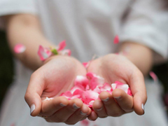 關(guān)于青春成長的美到極致的唯美句子帶圖片