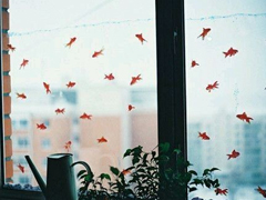 關(guān)于青春成長(zhǎng)的哲理雖然簡(jiǎn)單一句話但是很有道理的說(shuō)說(shuō)帶圖片