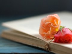 最新說說帶圖片：愛情就是這樣，有些人寧愿疼死，也不愿意放開