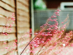 知性女人用的唯美朋友圈說說圖片 剪一段愛的時光永久收藏