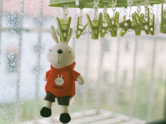 文字控喜歡的溫暖治愈文藝說(shuō)說(shuō)帶圖片 想跌進(jìn)你的懷里把夏天帶給你