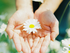 優(yōu)美說說唯美的句子配圖：海底月是天上月，只是鏡花水月