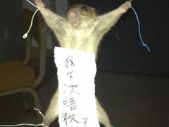 笑死人的說說帶圖片帶文字 逛街時(shí)的你和你的朋友