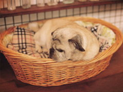 幽默有趣的說(shuō)說(shuō)大全一秒鐘笑哭 讓人樂(lè)在其中的搞笑說(shuō)說(shuō)帶圖片