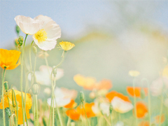 迎接2019的說說滿滿正能量帶圖片 與2018說再見用雙手去擁抱2019