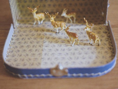 我們一路走來都很堅強的勵志說說帶圖片 很正能量的經(jīng)典勵志說說