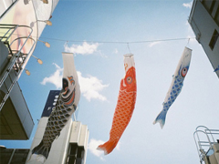 15條值得學(xué)習(xí)的勵志說說帶圖片 陽光簡短的勵志說說配圖