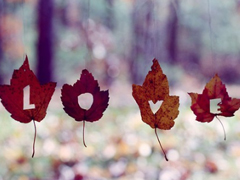 女生治愈系說說簡短好聽帶圖片 可以幫你療傷的愛情說說