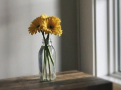 很扎心但很有道理的勵志說說帶圖片 激勵人心的很現(xiàn)實的一句話說說