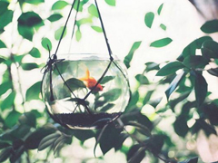 關(guān)于人生的超勵志正能量圖片說說 你優(yōu)秀了自然有對的人與你并肩