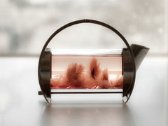 關于愛情的簡單有哲理的句子帶圖片 不要貪心找到那個對的人就第一時間決定吧