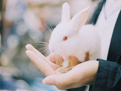 關(guān)于愛情簡單又有道理的句子配圖 愛情是一個(gè)人的天荒地老