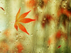 心情郁悶的傷感說(shuō)說(shuō)帶圖片 夜里睡不著覺(jué)的傷感心情說(shuō)說(shuō)配圖