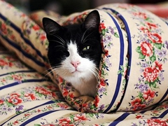 突然一瞬間悲傷難過的傷感說說帶圖片 抖音上很火的觸動人心的傷感說說