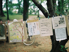 深夜里一個人心痛的傷感說說帶圖片 你們九九我八十一難