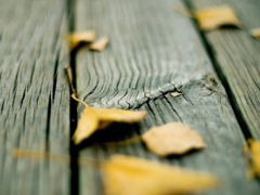 獨一無二微信個性說說帶圖片 路那么長少一些人也無妨