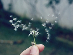 痛到心碎的傷感說說配圖 生活很現(xiàn)實(shí)的傷感說說