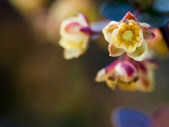 2019送給自己的一句話勵(lì)志 新的開始送給自己的一句話簡(jiǎn)短