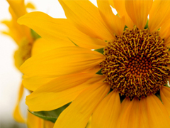 2019經典語錄人生感悟 靠天靠地還要靠自己