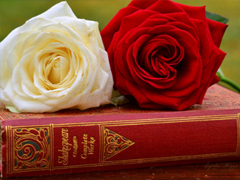 2019復活節(jié)朋友圈祝福語大全 復活節(jié)微信經典語錄