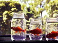 關(guān)于青春和成長(zhǎng)的適合文藝女生發(fā)說(shuō)說(shuō)的句子帶圖片