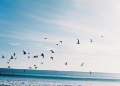 悲傷的說說帶圖片：也許他只是曖昧成癮，而你卻走了心