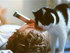 一些國外小說影視電影中的經(jīng)典英文句子精選