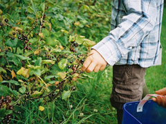 齁死人的情侶間情話(huà)合集 抖音最美情話(huà)短句精辟好聽(tīng)