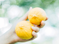 16條適合發(fā)朋友圈的旅行句子配圖 旅行句子表達(dá)心情短語(yǔ)最新版