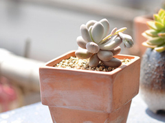 抖音比水還干凈的句子唯美又文藝 遺憾的是從沒被堅(jiān)定的選擇過