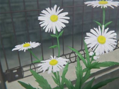 描寫谷雨的優(yōu)好聽的美句子 谷雨唯美說說大全2019