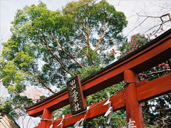 很經(jīng)典精辟的哲理句子 感悟人生追逐夢想的經(jīng)典哲理句子