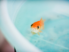 2018表達(dá)心情失落的傷感句子大全 痛到心碎的愛情傷感句子