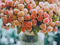 生活中很有哲理的經典句子 簡單卻很精辟的句子