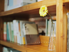 一句話(huà)滿(mǎn)滿(mǎn)都是愛(ài)情的句子 2018簡(jiǎn)單的一句話(huà)愛(ài)情句子