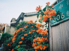 內(nèi)心痛苦煎熬的說(shuō)說(shuō)大全 被愛(ài)情折磨的傷感說(shuō)說(shuō)