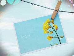 心情不好的說(shuō)說(shuō)失望透頂 最冷不過(guò)心寒說(shuō)說(shuō)