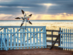 女生為情所困的傷感說說 女生傷感說說大全20字以內(nèi)