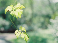 抖音最火扎心語錄 2019痛到心碎的句子