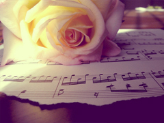 突然很想哭的心情說說大全 快手寫進(jìn)心坎的傷感句子