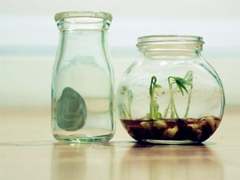 2019抖音最火傷感語(yǔ)錄 聽(tīng)起來(lái)很心酸掉眼淚的句子