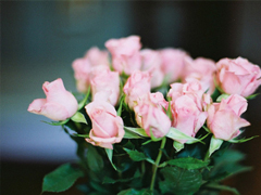 2019戳破人心的傷感說說合集 超扎心的一句話說說