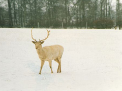 關(guān)于分離分別的傷感說(shuō)說(shuō) 每個(gè)人都是孤獨(dú)的傷感說(shuō)說(shuō)2018