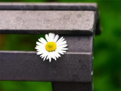 睡不著的傷感晚安說說 晚上容易想太多的傷感句子