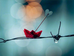 下雨的說說唯美傷感大全2019 一個人的下雨天傷感說說